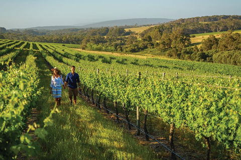 6 Days Perth All-Inclusive Touring Package With Wildflowers ( Seasonal) - Darwin Holiday 4