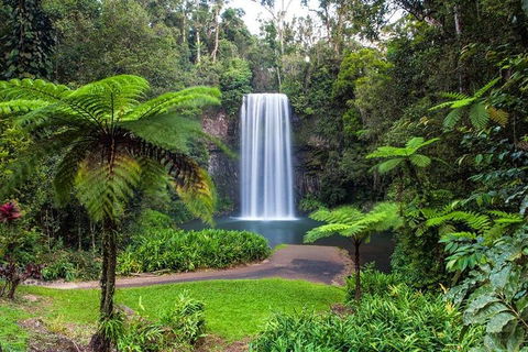 Cairns & Port Douglas All-Inclusive 7 Days Touring Package - Darwin Holiday 2