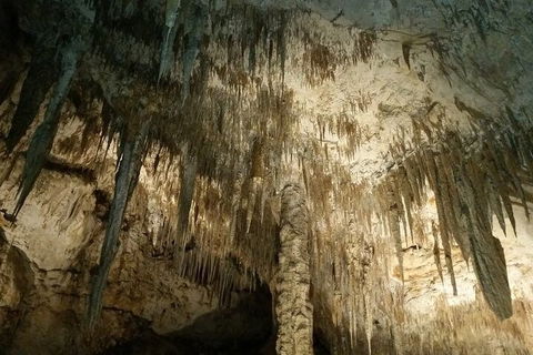 7 Days Perth All-Inclusive Touring Grand Package - Darwin Holiday 5