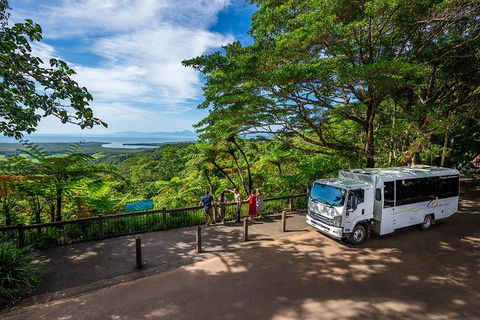 Daintree And Cape Tribulation Tour From Cairns - Darwin Holiday 3