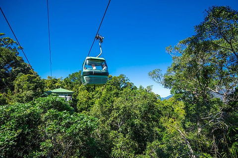 Skyrail Rainforest Cableway Day Trip From Cairns - Darwin Holiday 1