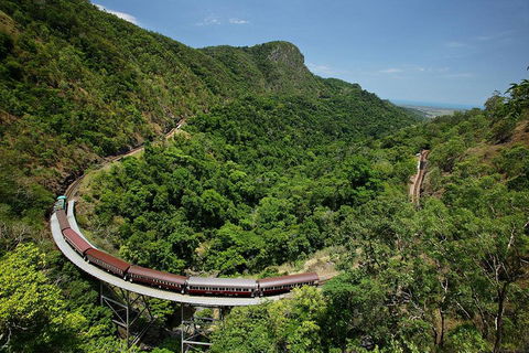 Skyrail Rainforest Cableway Day Trip From Cairns - Darwin Holiday 5