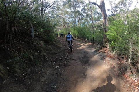 Explore Downhill Mountain In 3-Hour Bike Tour From Hobart - Darwin Holiday 3
