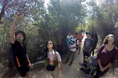 Active Day Tour One-Way From Launceston To Hobart Via Wineglass Bay - Darwin Holiday 0