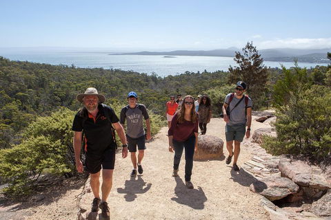 3-Day Tasmania Combo: Hobart To Launceston Active Tour - Darwin Holiday 3