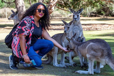 3-Day Tasmania Combo: Hobart To Launceston Active Tour - Darwin Holiday 5