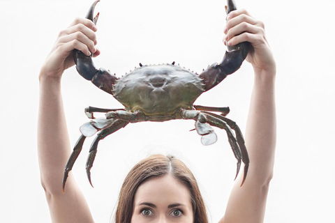 The Ultimate Gold Coast Attractions Pass - Darwin Holiday 0