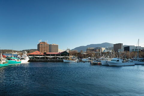 Hobart City Sightseeing Tour Including MONA Admission - Darwin Holiday 0