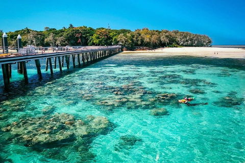 Green Island Discovery Including Glass Bottom Boat Tour Departing Cairns - Darwin Holiday 4