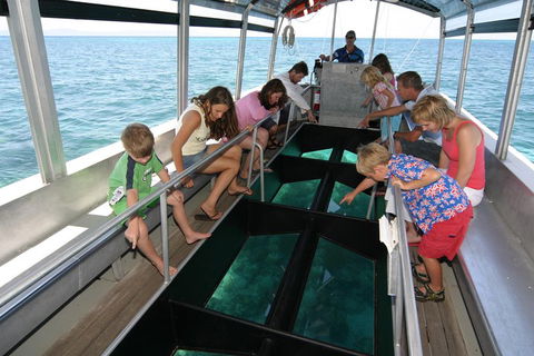 Green Island Discovery Including Glass Bottom Boat Tour Departing Cairns - Darwin Holiday 5