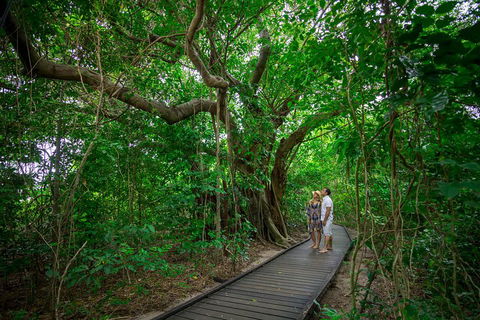 Green Island Eco Adventure From Cairns - Darwin Holiday 0