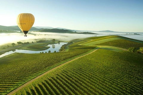 Half-Day Or Full-Day Tour With Private Guide From Melbourne - Darwin Holiday 4