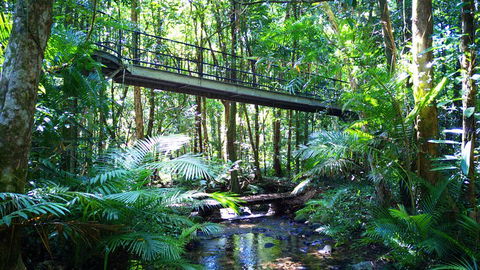Double Pack-Ancient Rainforest And Waterfalls! - Darwin Holiday 0