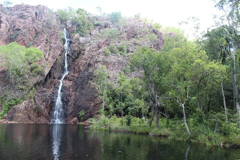Jumping Crocodile Cruise And Berry Springs Nature Park - Darwin Holiday 5