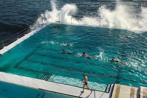 Sydney Private Tour And Sip And Sail Experience - Darwin Holiday 3