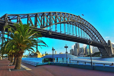 Sydney Half Day Tour With A Local: 100% Personalized & Private â˜…â˜…â˜…â˜…â˜… - Darwin Holiday 1