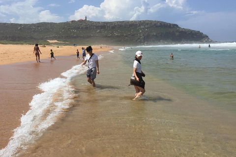 Small-Group Sydney's Northern Beaches And Ku-ring-gai National Park Bus Tour - Darwin Holiday 5