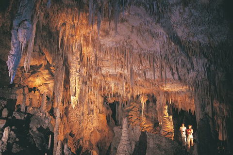 4 Day Tour: Albany, Margaret River, Valley Of The Giants TreeTop Walk From Perth - Darwin Holiday 1