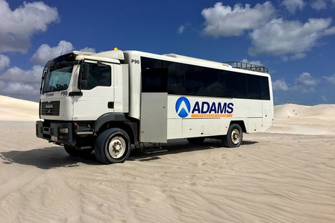 Pinnacles Desert, Koalas And Sandboarding 4WD Day Tour From Perth - Darwin Holiday 2