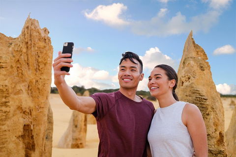 Pinnacles Desert, Koalas And Sandboarding 4WD Day Tour From Perth - Darwin Holiday 4