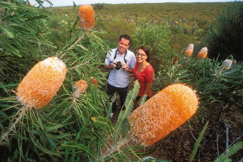 Best Of Perth Wildflower Season Day Trip - Darwin Holiday 0