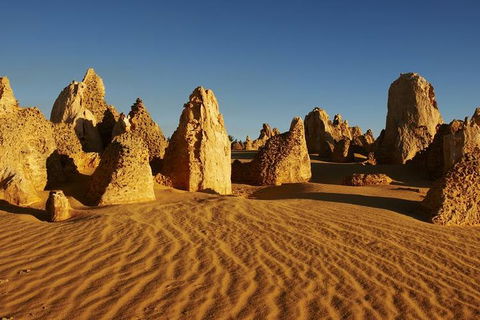 Full Day Pinnacle Desert Explorer From Perth Including Hillarys And Lancelin Sandboarding - Darwin Holiday 3