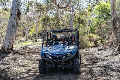 Small-Group Buggy Tour At Little Sahara With Guide - Darwin Holiday 0