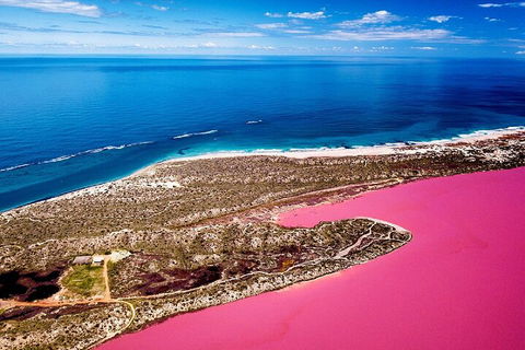 Pink Lake Small-Group Buggy Tour - Darwin Holiday 0
