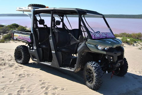 Pink Lake Small-Group Buggy Tour - Darwin Holiday 1