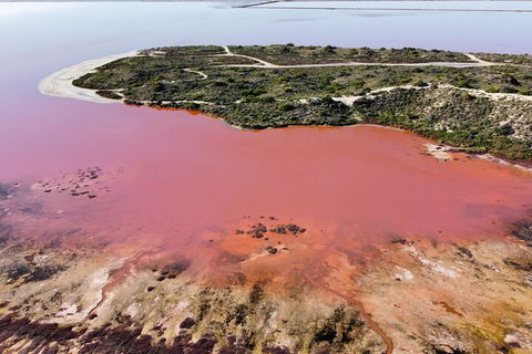 Pink Lake Small-Group Buggy Tour - Darwin Holiday 2