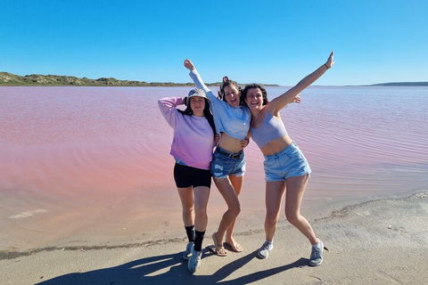 Pink Lake Small-Group Buggy Tour - Darwin Holiday 3