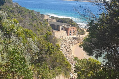 Fort Nepean And Quarantine Station Tour - Darwin Holiday 4
