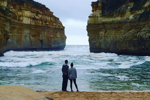 Great Ocean Road Small-Group Ecotour From Melbourne - Darwin Holiday 1