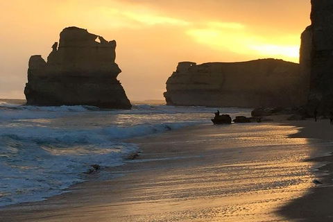 Great Ocean Road Small-Group Ecotour From Melbourne - Darwin Holiday 5