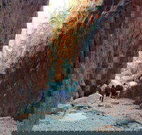 West MacDonnell Private Tour with Transfer - Darwin Holiday