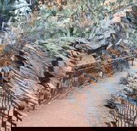 West MacDonnell Ranges Half - Day Tour - Darwin Holiday