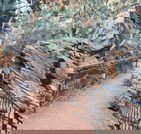 West MacDonnell Ranges Half-Day Private Charter Guided Tour - Darwin Holiday