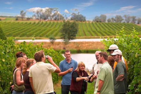 Yarra Valley Wine And Winery Tour From Melbourne - Darwin Holiday 0