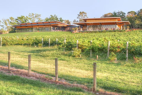 Yarra Valley Wine And Winery Tour From Melbourne - Darwin Holiday 1