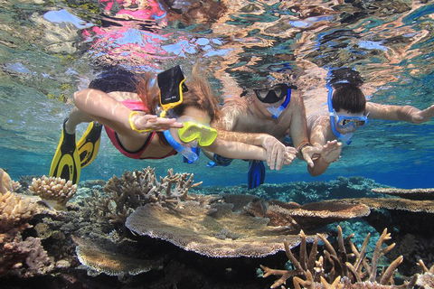 Calypso Outer Great Barrier Reef Cruise From Port Douglas - Darwin Holiday 3