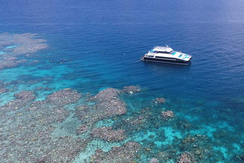 Calypso Outer Great Barrier Reef Cruise From Port Douglas - Darwin Holiday 4