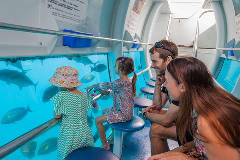 Scenic Helicopter Flight To Moore Reef And Return Snorkeling Cruise From Cairns - Darwin Holiday 3