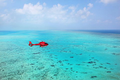 Helicopter And Cruise Packages From Port Douglas - Darwin Holiday 1