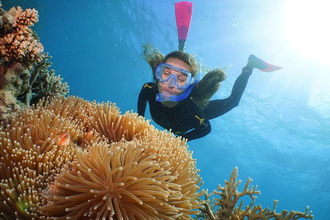 Helicopter And Cruise Packages From Port Douglas - Darwin Holiday 3