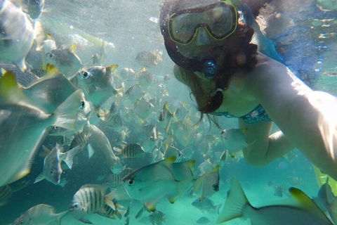 Moreton Island Snorkel And Sandboarding 4WD Day Trip From Brisbane - Darwin Holiday 3