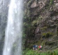 Springbrook National Park Discovery Full-Day Bushwalking Tour - Darwin Holiday