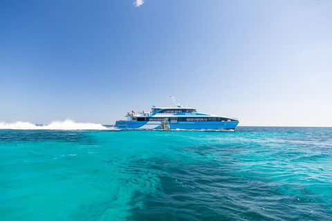 Fremantle To Rottnest Island Roundtrip Ferry Ticket - Darwin Holiday 0