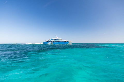 Rottnest Island Bike & Ferry Package From Fremantle - Darwin Holiday 0