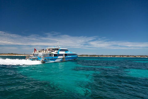 Perth To Rottnest Island Roundtrip Ferry Ticket - Darwin Holiday 4