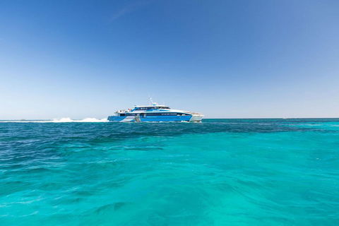 Rottnest Island Bayseeker Day Trip From Perth - Darwin Holiday 0